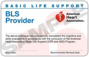 BLS Provider