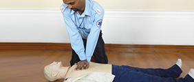 VIVO Healthcare BLS Program